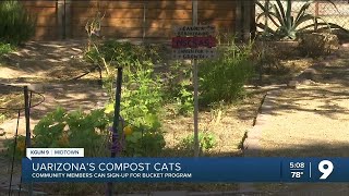 Compost Cats: New life for food waste