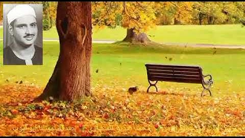 تنزيل الكتاب من الله العزيز الحكيم _ سورة الزمر آية { ١ } المنشاوي