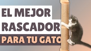 Cómo elegir el RASCADOR PERFECTO para tu gato