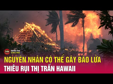 Những nguyên nhân nào gây ra thảm họa cháy rừng chưa từng có tiền lệ ở Hawaii? 