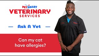 Thumbnail Treating Cat Allergies | PetSmart Veterinary Services