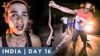 JACK KILLS A SNAKE | DAY 16 INDIA ADVENTURE