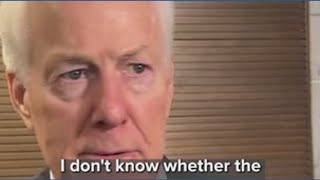 Senator John Cornyn on chances of Trump endorsement Wealth
