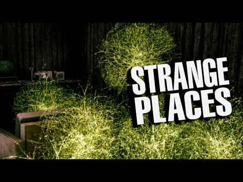 Strange & Interesting Places In Fallout New Vegas