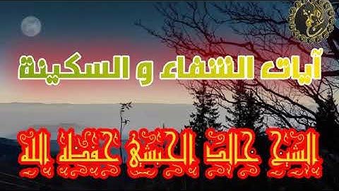 آيات الشفاء و السكينة / الشيخ خالد الحبشي حفظه الله