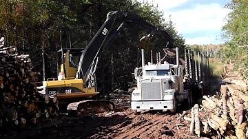 Cat 320C Log Loader Loading Logs