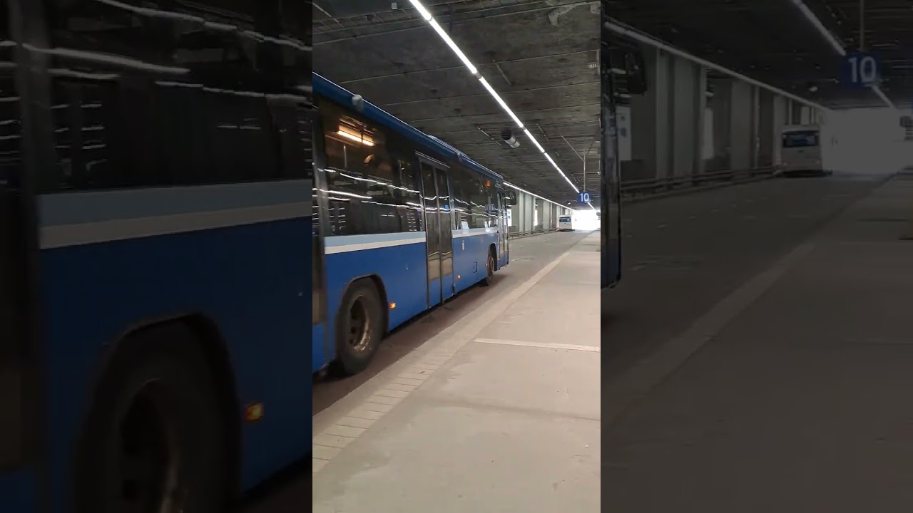 Volvo 8700 linjalla 113