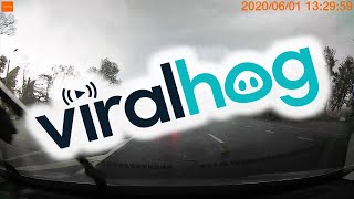 Hurricane Tears Trees Down Along Highway || ViralHog