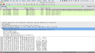 Apache-HttpClient/4.5.3 - 2 requests
