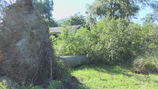 St. Marys neighbors stay positive days into power outage from Helene