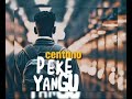 Centano Ft Rayo B Peke Yangu Remix Official Audio 