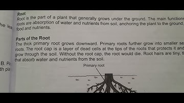 Part 1 Class 4 EVS Roots and Flowers #CBSC #Ajaya #Video 