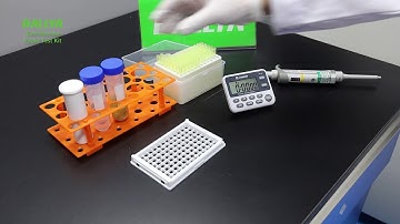 Zearalenone Rapid Test - Detection of Zearalenone in Pig feed - BALLYA