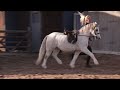 Lot 5 - Thistledown Symphony