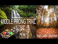 Middle Prong Trail  - Great Smoky Mountains - Adams' Trail Mix