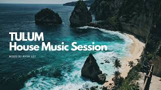 House Music Tulum Sound DJ Session mixed by Richi Ley