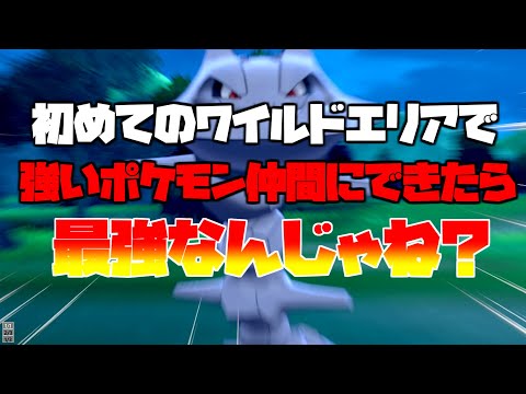 【検証】初めてのワイルドエリアで強いポケモン捕まえることはできるのか？【ポケットモンスターソード&シールド】