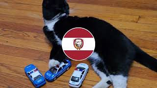 Policat San Jose De Zapata