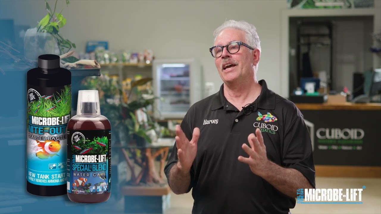 Real Results: How Microbe-Lift Improves Water Quality & Tank Health