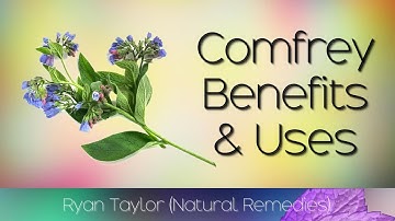 Comfrey: Benefits and Uses