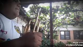 Va cayendo una lagrima (version Trompeta)
