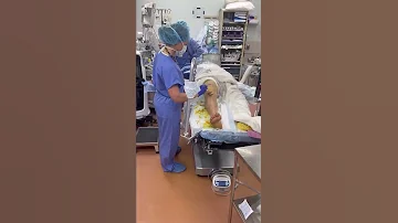 Cleaning the leg before knee replacement surgery