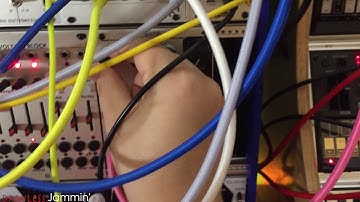 I accidentally named all my videos the same thing. Thanks YouTube :D