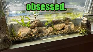 The Windowsill Tank No Budget No Tech