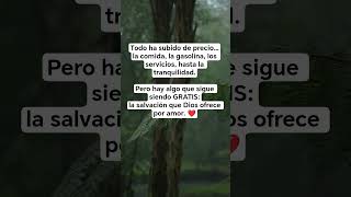 La única cuenta que ya está pagada 🧾❌