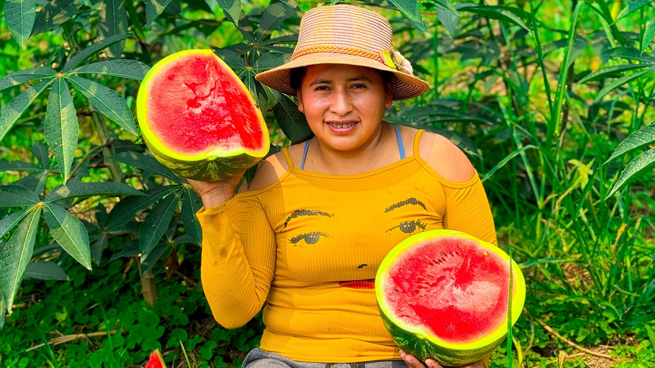 Cosechando SANDIAS del Oriente para compartir con mi FAMILIA | Doña Viky | Viky Aventura