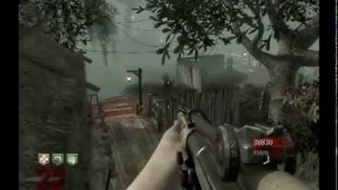 Brand new Black Ops: Shi no Numa Invincibility Glitch