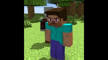 Vindicator, Pillager And Evoker Plan To Attack Steve