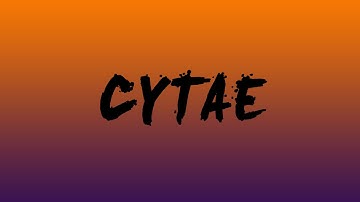 Free 2D Intro #3 - Comment If You Want It!