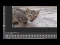 How To Make Animated GIF From Video in Photoshop CS6