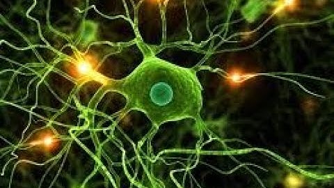 054 Computacion evolutiva Algoritmos geneticos