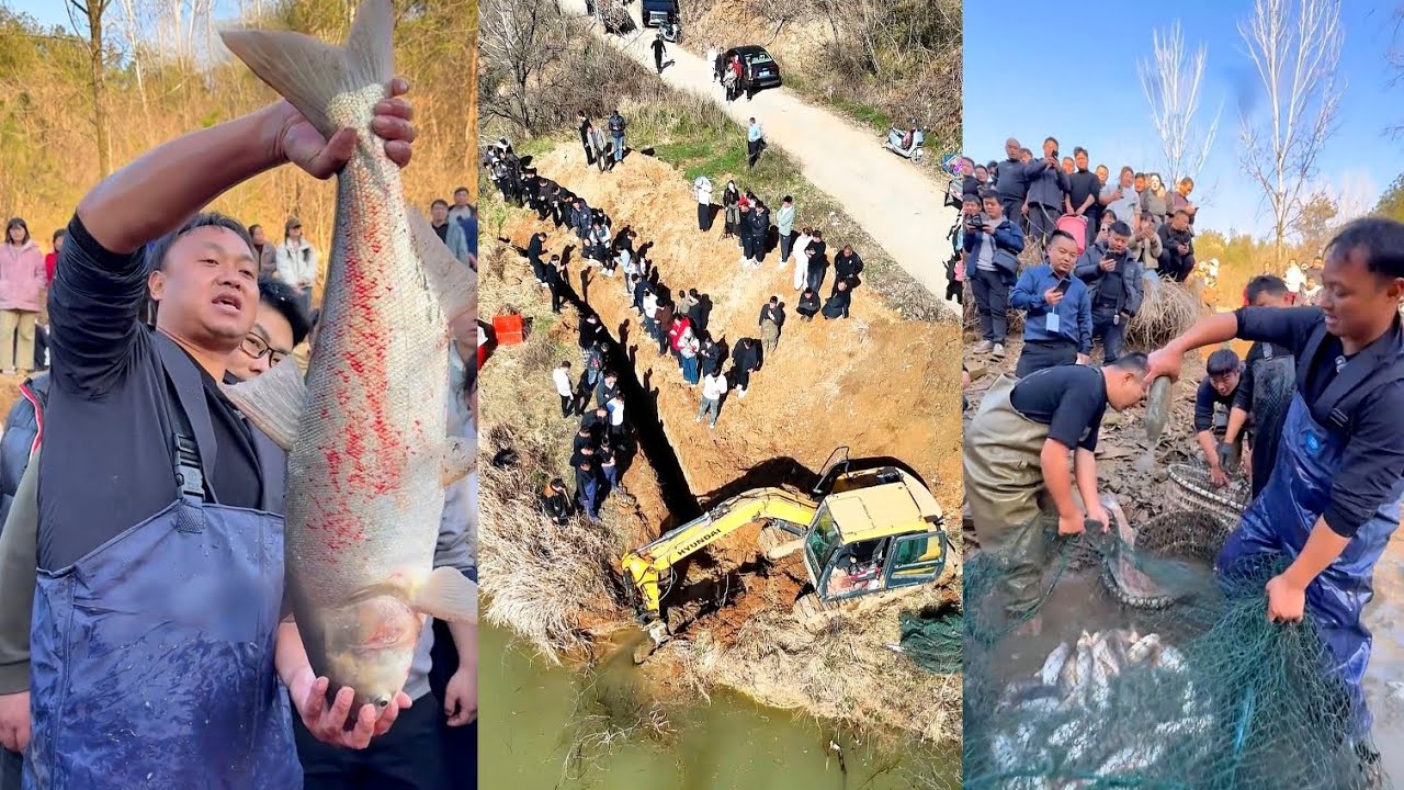 Dùng máy xúc đào ao cá lâu năm của ông cụ 93 tuổi trong núi sâu rốt cuộc có bao nhiêu cá