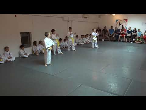 Klub realnog aikidoa i ju-jutsu Novi Sad Polaganje jun 2021 I i II grupa dece  5/12