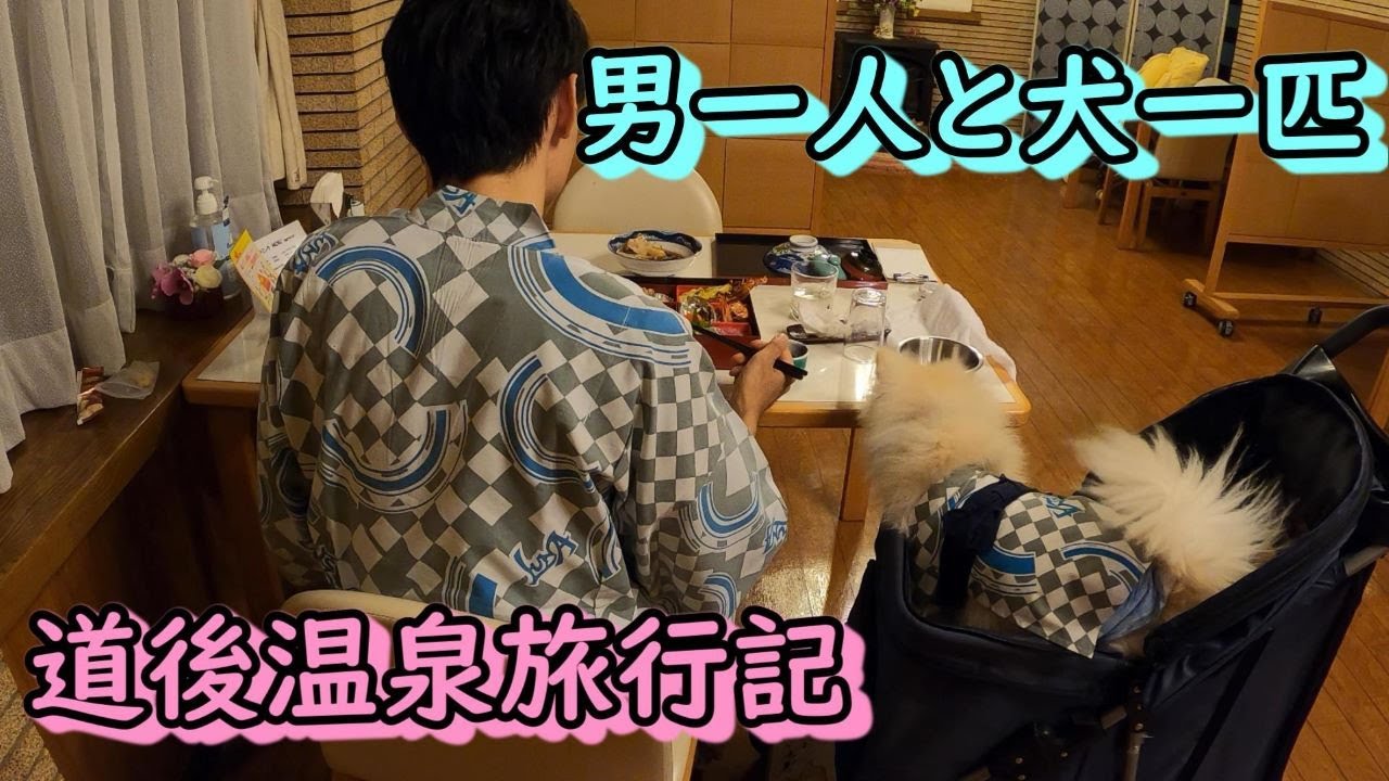 【犬連れ温泉旅行】ペットとお揃いの浴衣で過ごす四国の温泉旅館、ルナパーク別邸やすらぎ。ポメのムツオを連れ、道後温泉を満喫する。【道後温泉編】