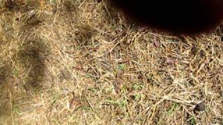 Imagen 029