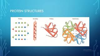 Tubulin Paper Presentation