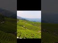 Munnar