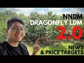 NNDM still up 20%, Dragonfly LDM 2.0