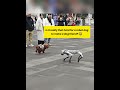 Is it really that hard for a robot dog to make a dog friend? 😂#dogshorts #robot