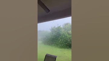 Intense Winds Whip Rain, Trees Around in Brevard County, FL