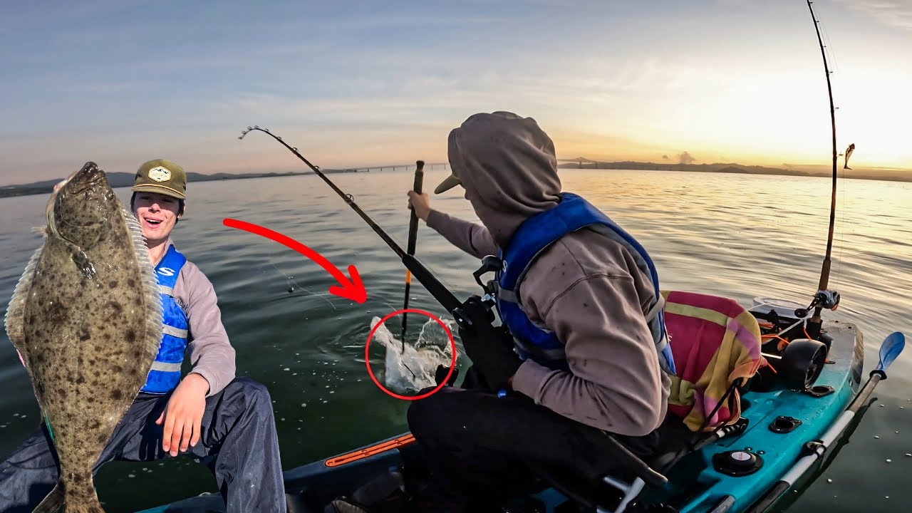 Bay Area Halibut Fishing Report April 2024 YouTube