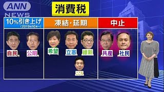 衆院選の争点「消費税」　各党の主張のポイントは(17/10/16)