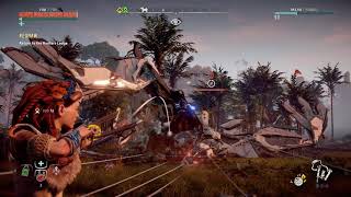 Horizon Zero Dawn | Lazy Stormbird Fight