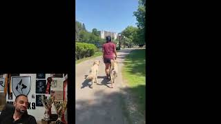 Shield Trainer Test with TWO Poodles?! Shauna Jean