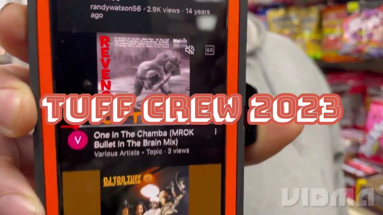 New album Revenge of the dj  on 