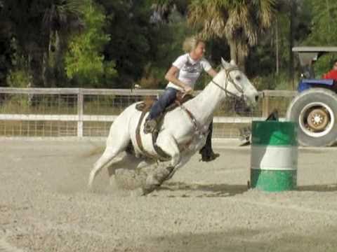 Kaley + Wonder's Cowboy Dan - PBCMP New Year's Ope...